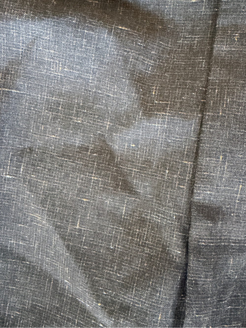 Zanella Dark Charcoal Pleated Dress Pants - Picture 5 of 6